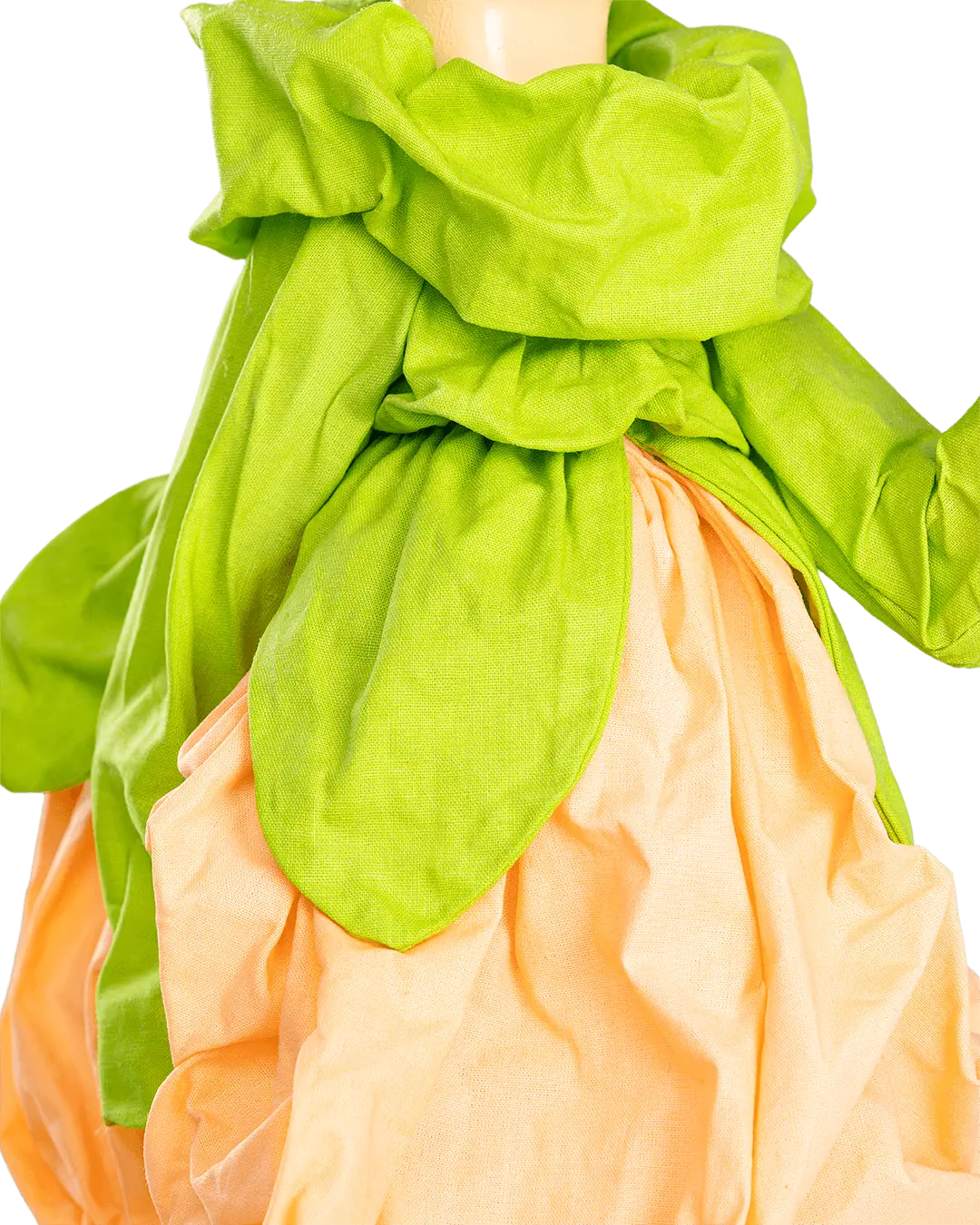 Blooming Girl Taraxo